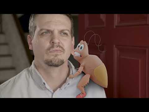 ALL U Need Pest Control commercial thumbnail